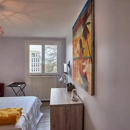 Chambres A Louer Dans Appartement Balcon - Wifi - Parking Gratuit Nevers Exterior photo