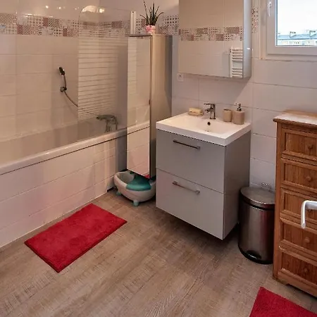 Chambres A Louer Dans Appartement Balcon - Wifi - Parking Gratuit Nevers Exterior photo